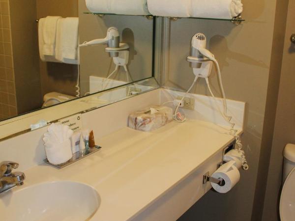 The Crockett Hotel : photo 3 de la chambre chambre supérieure lit queen-size