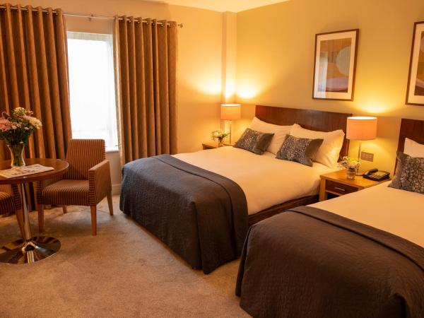 Castle Dargan Hotel : photo 1 de la chambre chambre familiale