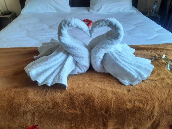 Bed and Breakfast Hans en Gridje : photo 10 de la chambre appartement