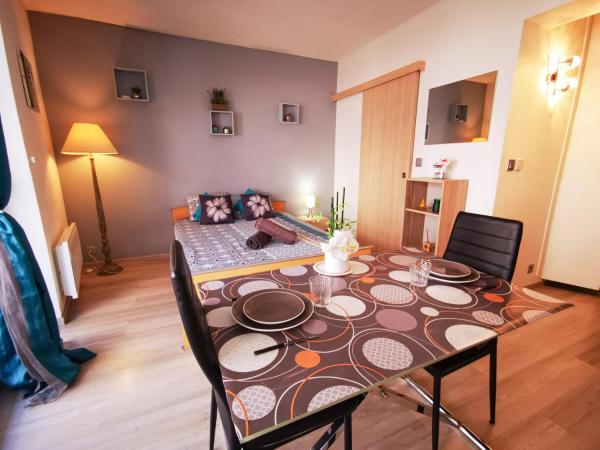 Léman Holidays - Appartement Hyper centre : photo 6 de la chambre studio