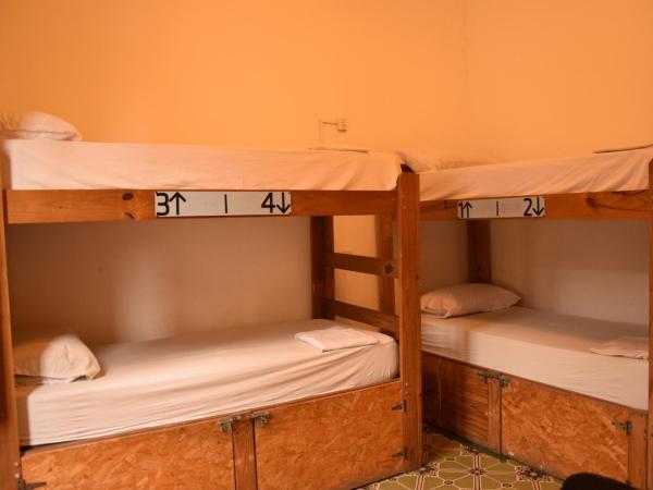 531 Hostel : photo 2 de la chambre dortoir mixte de 6 lits