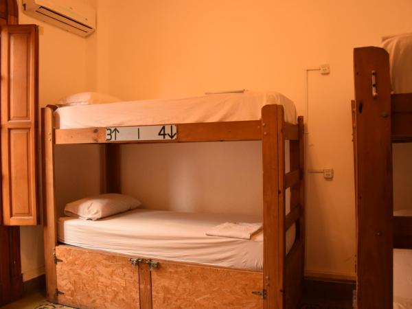 531 Hostel : photo 3 de la chambre dortoir pour femmes de 6 lits