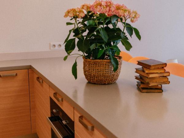 Résidence Châteauneuf : photo 1 de la chambre appartement supérieur 1 chambre avec terrasse