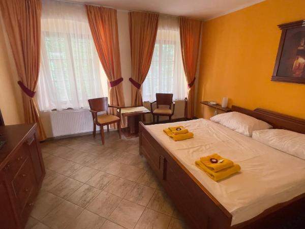 Pension Pod Radnicí : photo 4 de la chambre chambre double
