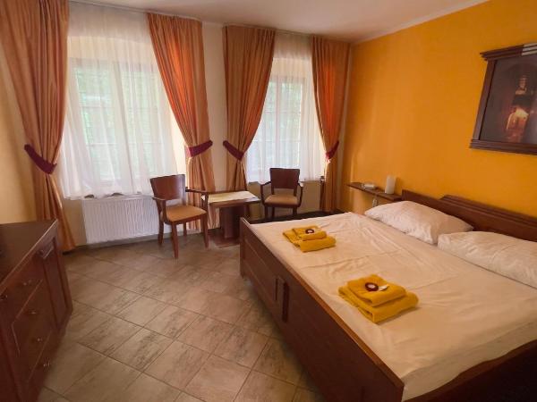 Pension Pod Radnicí : photo 3 de la chambre chambre double