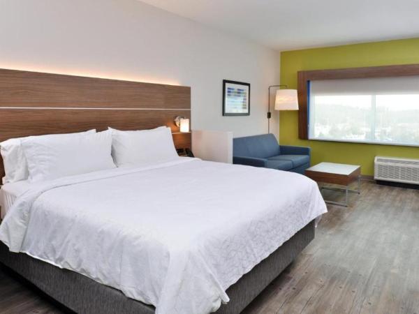 Holiday Inn Express Orlando - South Park, an IHG Hotel : photo 1 de la chambre chambre premium 