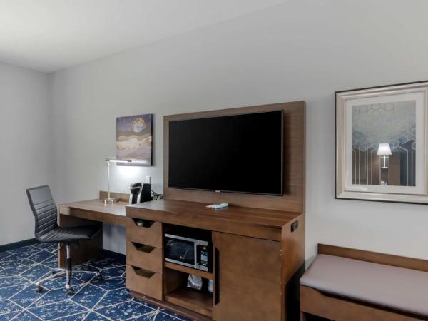Best Western Plus St. Louis Airport Hotel : photo 10 de la chambre chambre lit king-size accessible aux personnes à mobilité réduite avec douche accessible en fauteuil roulant