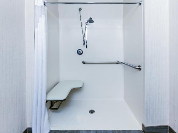 Holiday Inn Express & Suites Houston East, an IHG Hotel : photo 1 de la chambre chambre lit king-size avec douche accessible en fauteuil roulant - adaptée aux personnes à mobilité réduite