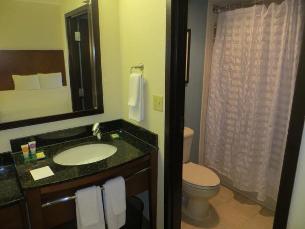 Hyatt Place Indianapolis Airport : photo 4 de la chambre chambre avec 2 lits doubles et canapé-lit