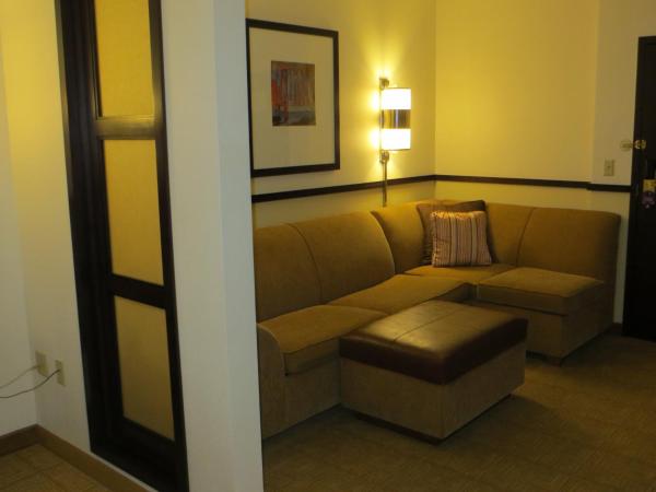 Hyatt Place Indianapolis Airport : photo 4 de la chambre chambre lit king-size avec canapé-lit