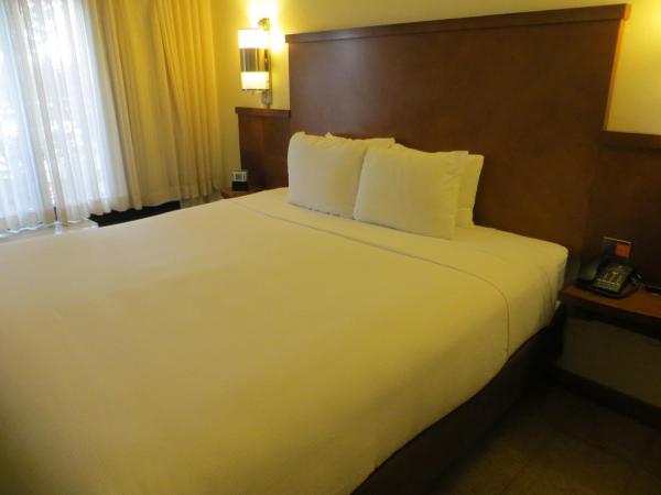 Hyatt Place Indianapolis Airport : photo 4 de la chambre chambre lit king-size avec canapé-lit et douche accessible en fauteuil roulant - accessible aux personnes à mobilité réduite