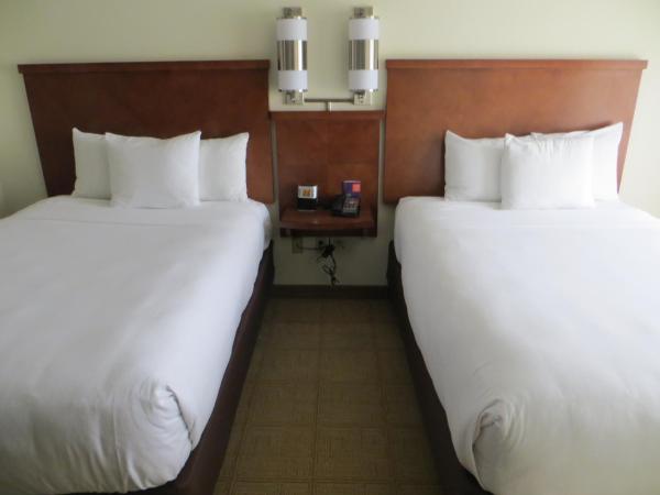 Hyatt Place Indianapolis Airport : photo 1 de la chambre chambre avec 2 lits doubles et canapé-lit