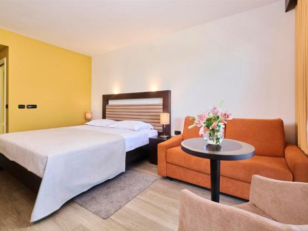 Hotel Garden Istra Plava Laguna : photo 2 de la chambre chambre premium avec balcon - côté piscine