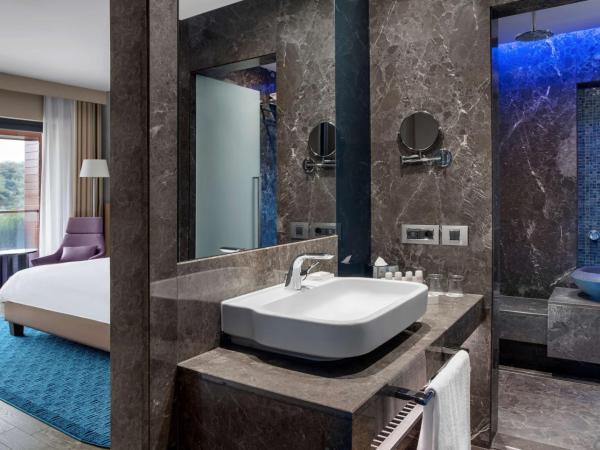 Radisson Blu Hotel & Spa, Istanbul Tuzla : photo 6 de la chambre chambre premium avec terrasse