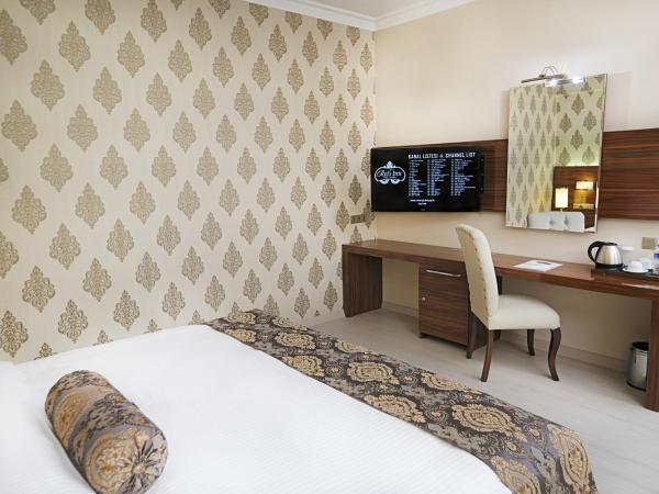 World Point Hotel Istanbul : photo 4 de la chambre suite deluxe