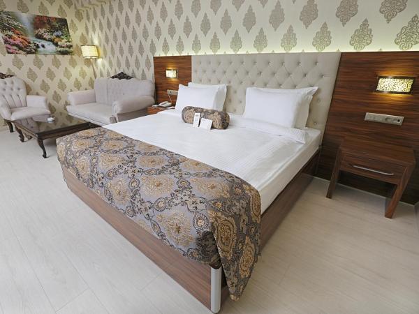 World Point Hotel Istanbul : photo 1 de la chambre suite deluxe