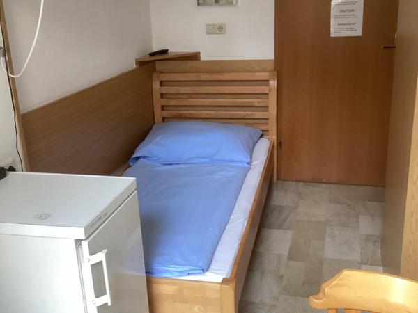 Hotel Pribitzer : photo 9 de la chambre chambre simple - vue sur jardin