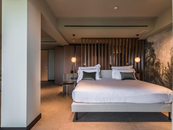 Bellevue Hotel & Resort : photo 5 de la chambre suite deluxe