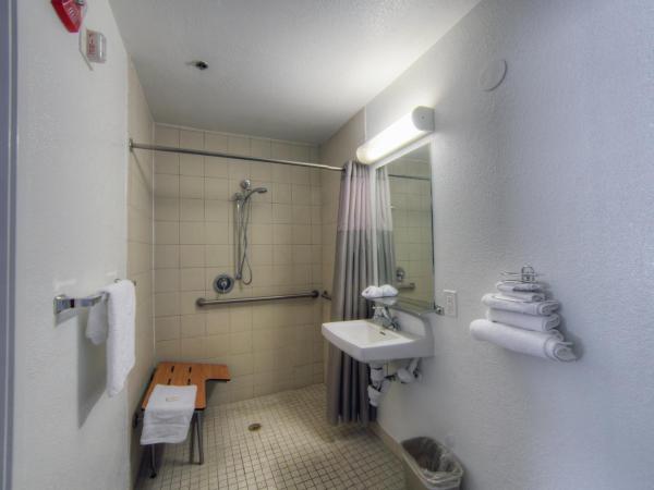 Motel 6-Orlando, FL - Winter Park : photo 1 de la chambre chambre double - accessible aux personnes à mobilité réduite - douche accessible en fauteuil roulant
