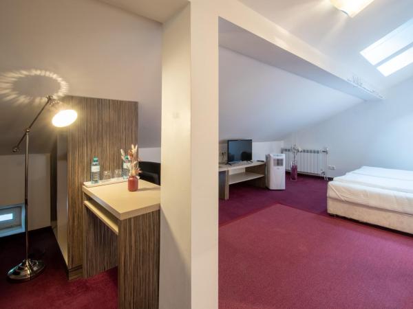 AMADEA - Cityhotel Salzburg : photo 10 de la chambre chambre double