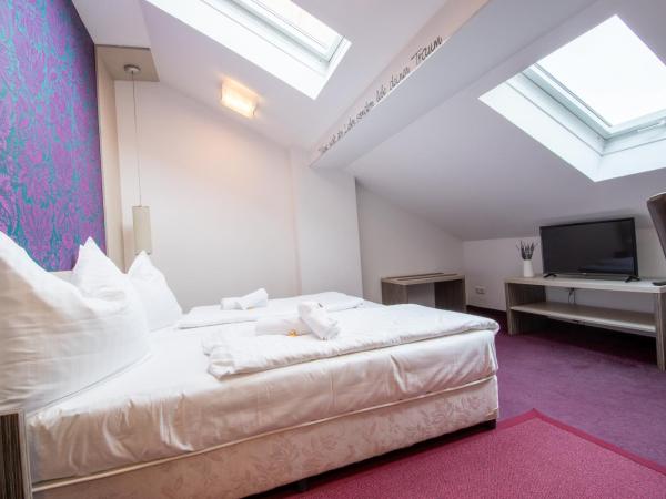 AMADEA - Cityhotel Salzburg : photo 2 de la chambre chambre double Économique