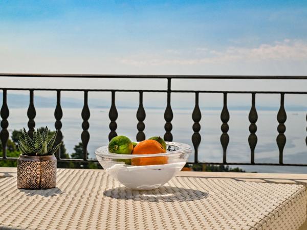 Hotel Laurus - Liburnia : photo 5 de la chambre appartement 1 chambre