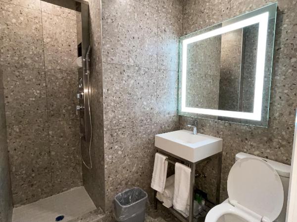 Hotel Saint-Andre : photo 10 de la chambre chambre lit queen-size deluxe