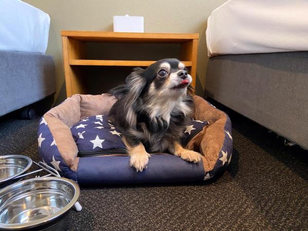 IMANO OSAKA SHINSAIBASHI HOSTEL - Vacation STAY 03958v : photo 3 de la chambre studio