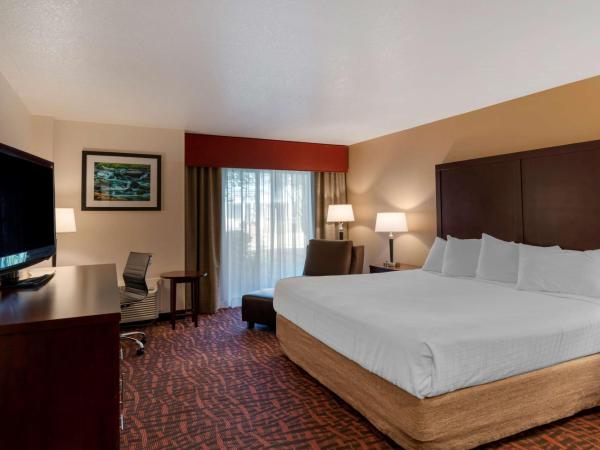 Best Western Pony Soldier : photo 1 de la chambre king room with poolside - non-smoking 