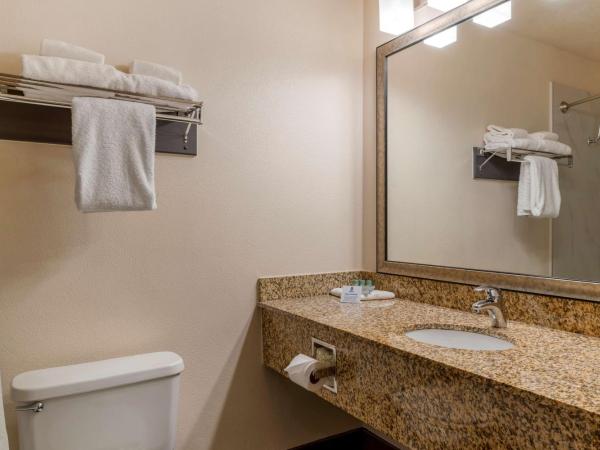 Best Western Pony Soldier : photo 2 de la chambre chambre lit king-size - non-fumeurs