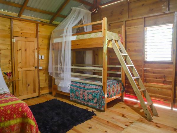 EL GALLO ECOLODGE : photo 7 de la chambre villa - vue sur jardin