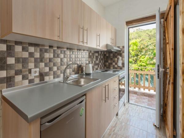 Christos studios and family apartments : photo 5 de la chambre appartement