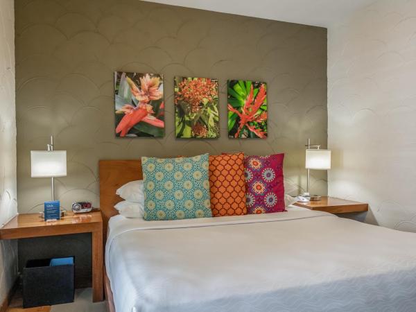 Kasa El Paseo Miami Beach : photo 5 de la chambre suite 1 chambre deluxe (enregistrement autonome avec réception virtuelle)