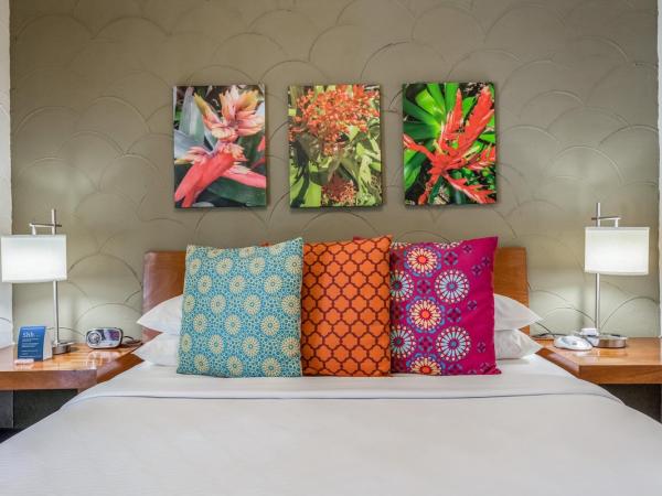 Kasa El Paseo Miami Beach : photo 1 de la chambre suite 1 chambre deluxe (enregistrement autonome avec réception virtuelle)