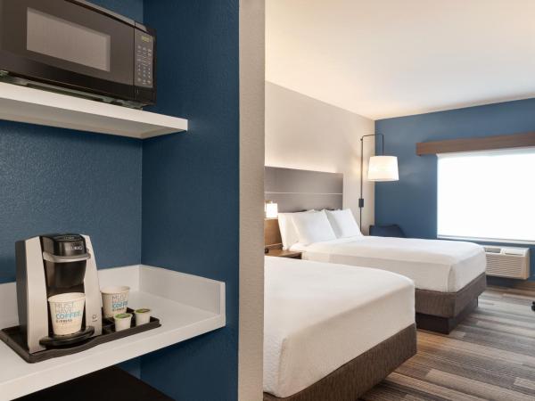 Holiday Inn Express & Suites Denver Airport, an IHG Hotel : photo 6 de la chambre chambre standard