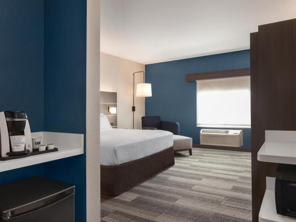 Holiday Inn Express & Suites Denver Airport, an IHG Hotel : photo 4 de la chambre chambre standard