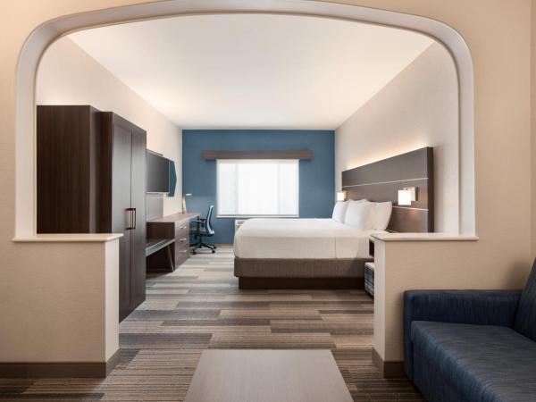 Holiday Inn Express & Suites Denver Airport, an IHG Hotel : photo 2 de la chambre chambre lit king-size exécutive avec canapé-lit