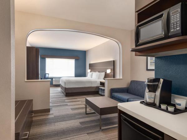 Holiday Inn Express & Suites Denver Airport, an IHG Hotel : photo 1 de la chambre chambre lit king-size exécutive avec canapé-lit