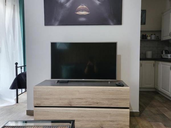 Moon Hostel Poznań : photo 4 de la chambre appartement 1 chambre