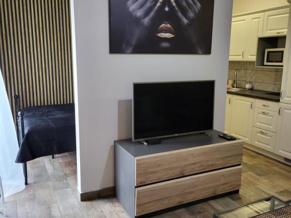 Moon Hostel Poznań : photo 9 de la chambre appartement 1 chambre