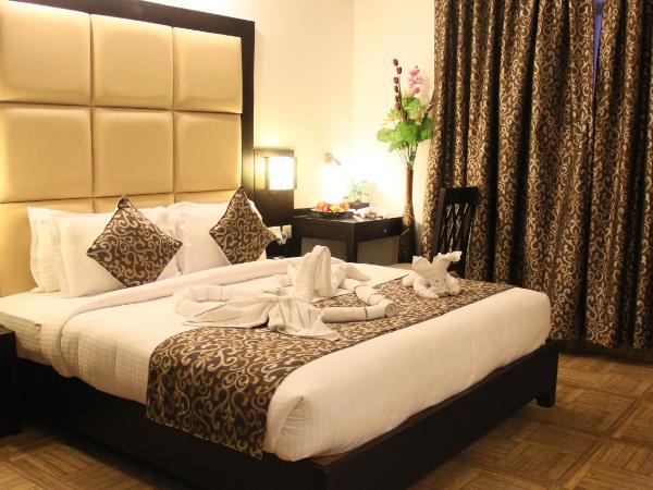 The Park Classic : photo 3 de la chambre chambre double exécutive