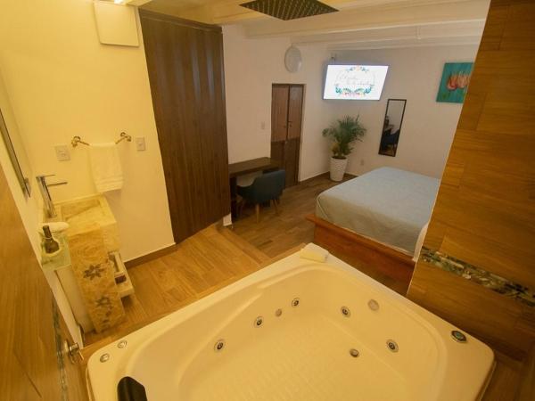 El Jardín de la Abuela : photo 8 de la chambre chambre lit king-size avec baignoire spa