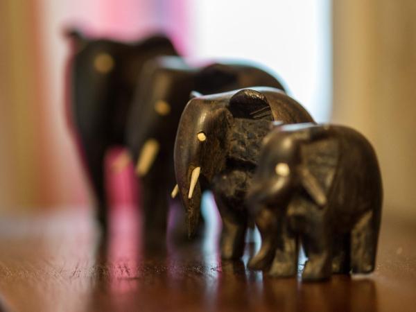 Maison de la Garenne & Spa : photo 5 de la chambre chambre confort