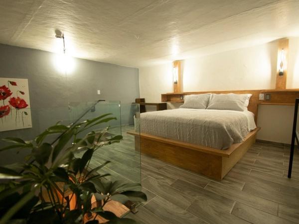 El Jardín de la Abuela : photo 6 de la chambre chambre triple confort