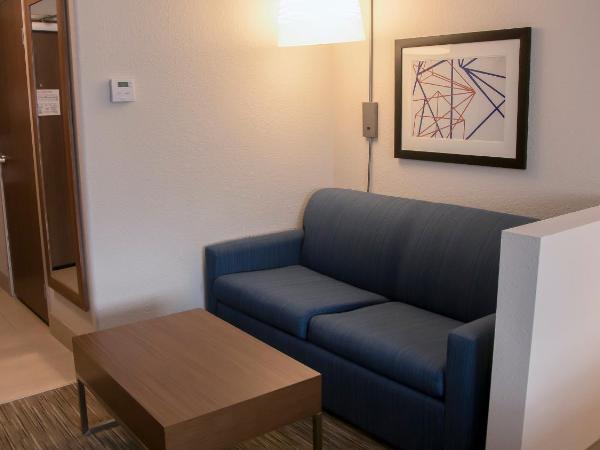 Holiday Inn Express & Suites Colorado Springs North, an IHG Hotel : photo 4 de la chambre chambre lit king-size exécutive avec canapé-lit