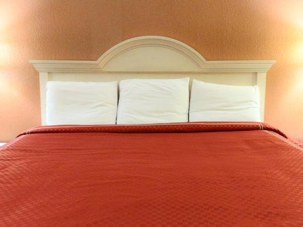 Americas Best Value Inn and Suites Houston FM 1960 : photo 2 de la chambre chambre lit king-size - non-fumeurs