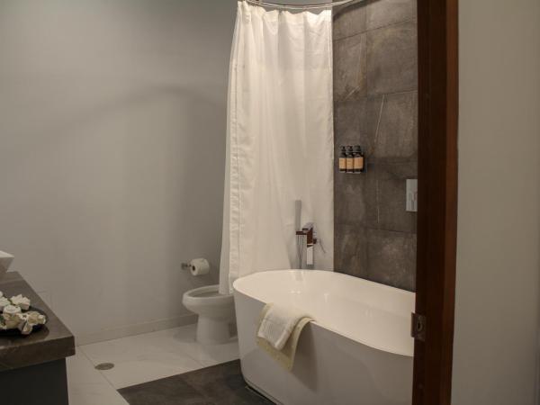 Hotel Boutique Casona de Santa Clara : photo 8 de la chambre suite junior