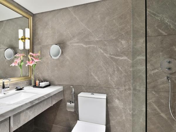 Taj Mahal, New Delhi : photo 1 de la chambre luxury room city view twin