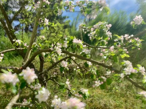 Penzion Kozí Horka u Brněnské přehrady : photo 3 de la chambre chambre double ou lits jumeaux avec balcon