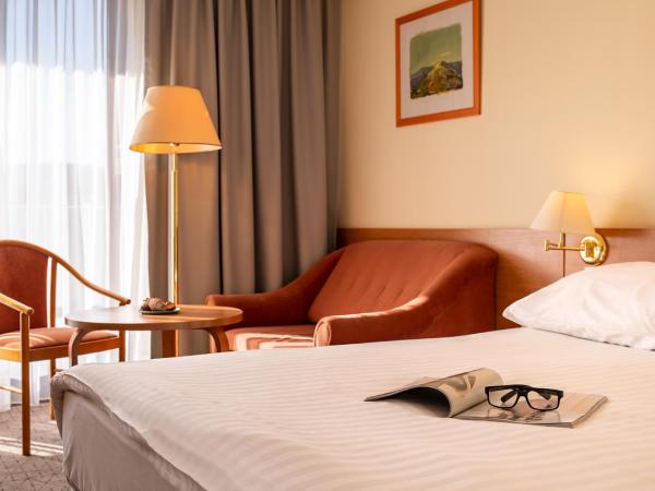 Mercure Karpacz Skalny : photo 3 de la chambre chambre lit queen-size standard avec canapé